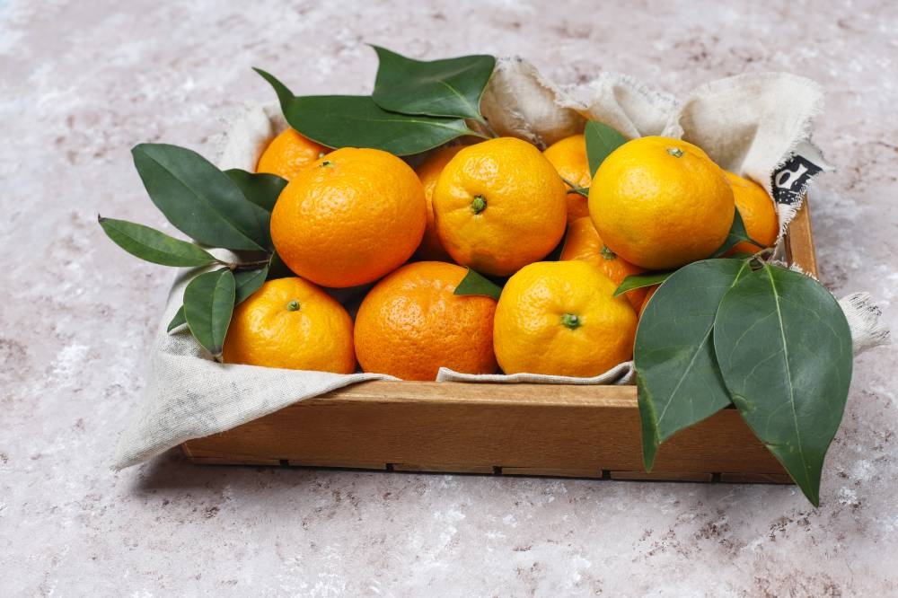 柑橘象征吉利，适合在新年期间送给亲朋好友。-图取自freepik-