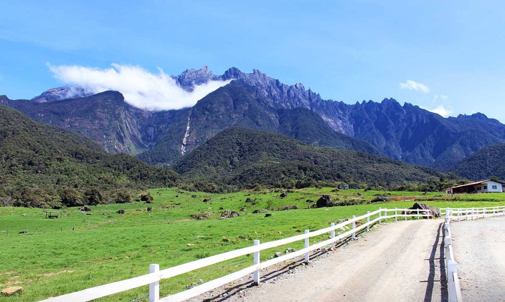 Desa Cattle奶牛场更以神山为背景,有着广袤的草原景色,是不少游客的打卡热点。-摘自网络-