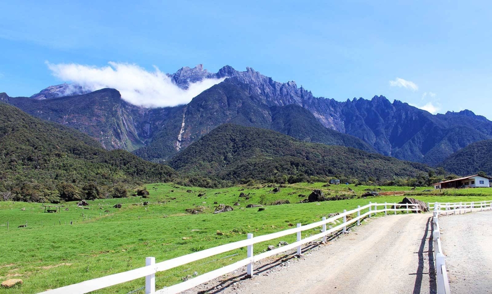 Desa Cattle奶牛场更以神山为背景，有着广袤的草原景色，是不少游客的打卡热点。-摘自网络-