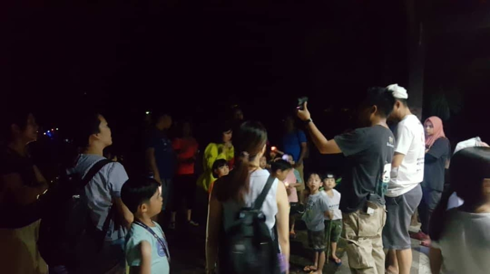  -图摘自国家动物园/精彩大马制图- 