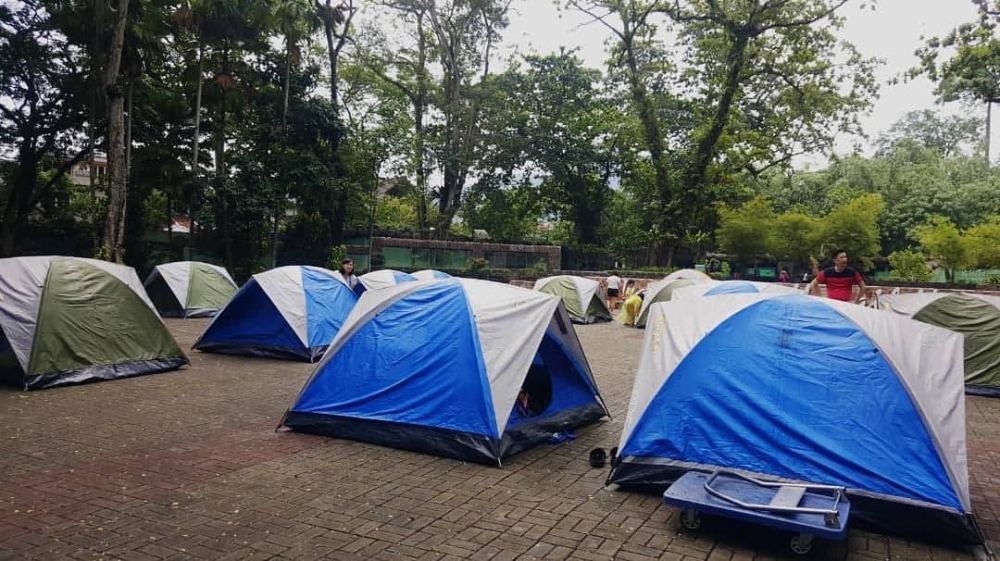  -图摘自国家动物园/精彩大马制图- 