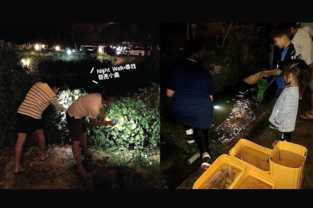 你可以参与他们特别设立的各项田野活动，例如夜间探索（寻找萤火虫）。-图取自森芭梯田的官网/精彩大马制图-