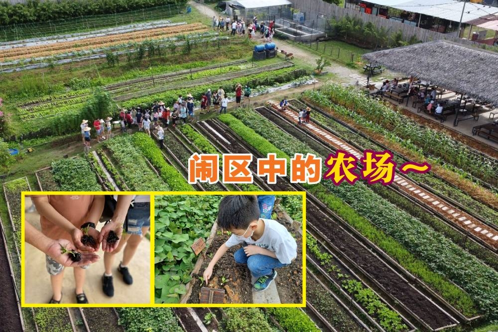 位于蒲种的“昆虫天堂农场（Bug's Paradise Farm）”不仅能放松身心，暂时逃离忙碌的城市生活，也是个让亲子增进户外时光的地方。