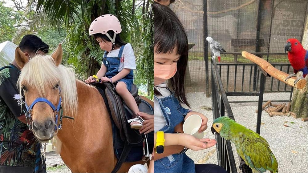 -图摘自G2G Animal Garden脸书/精彩大马制图-