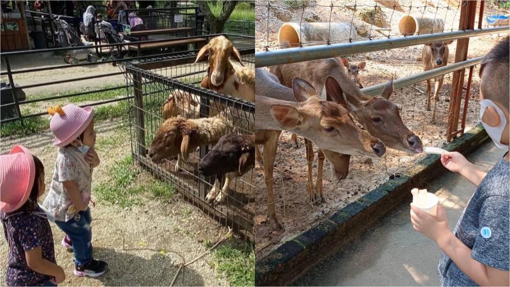 -图摘自G2G Animal Garden脸书/精彩大马制图-