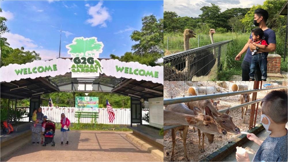 “G2G动物园”坐落在马来西亚沙登农业博览会公园内。-图摘自G2G Animal Garden脸书/精彩大马制图-