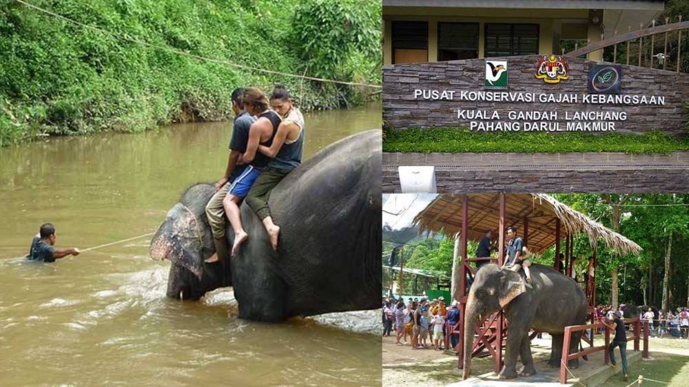 大象公园保育中心位于彭亨州瓜拉甘达。-图摘自大象公园保育中心脸书/我来自彭亨脸书/精彩大马制图-