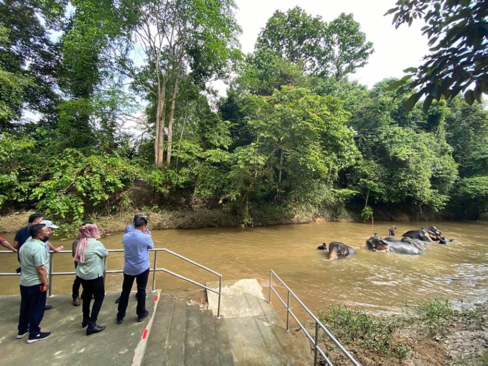 -图摘自大象公园保育中心脸书/精彩大马制图-