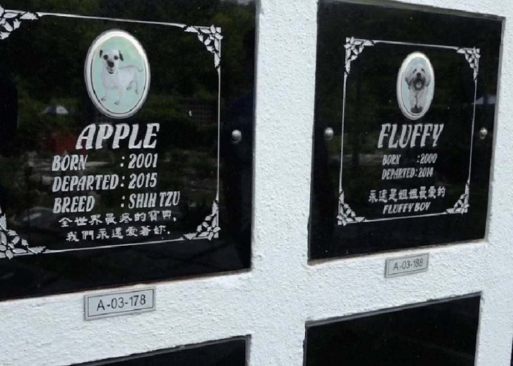 宠物丧礼仪式五花八门,有集体火化、单独火化、土葬和海葬,还有特别为宠物而设的骨灰殿和宠物墓地。-马新社-