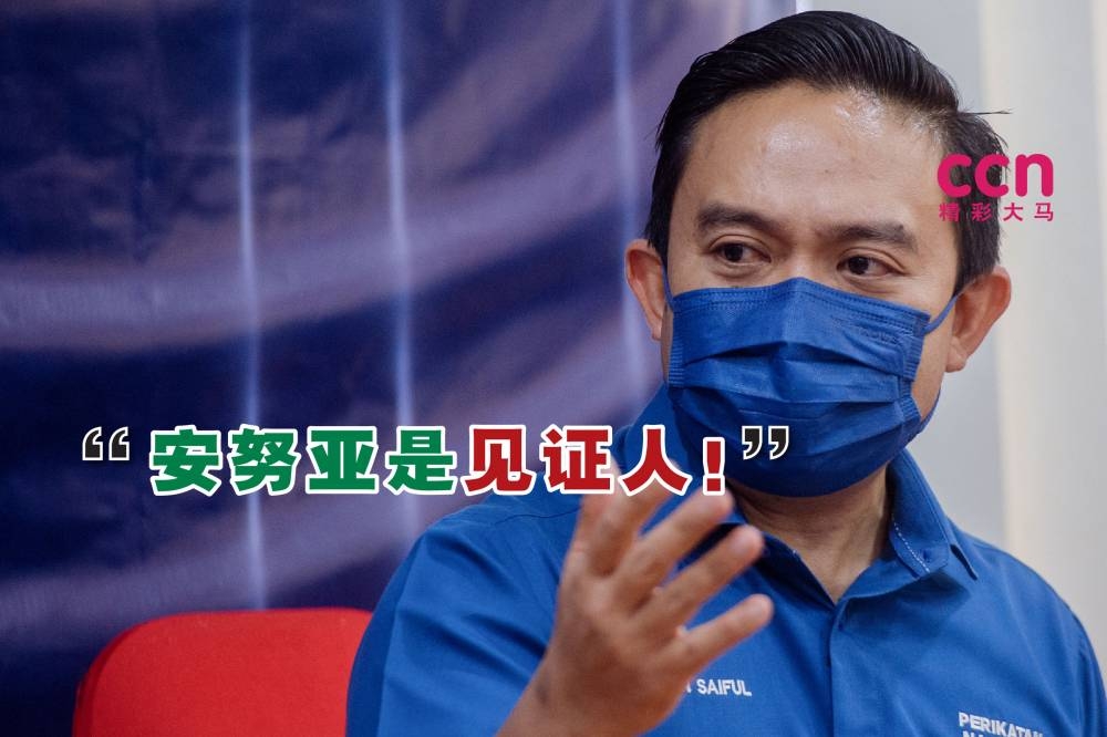 旺赛夫表示，首相签署联盟协议那一方的见证人是安努亚。-Shafwan Zaidon摄，精彩大马制图-