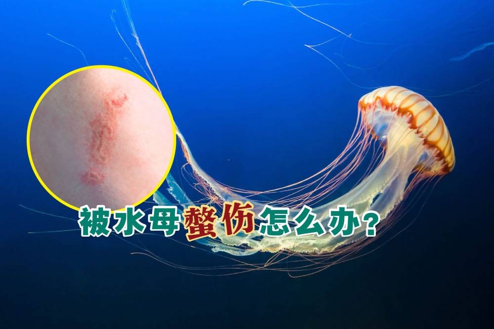 -摘自网络，精彩大马制图-