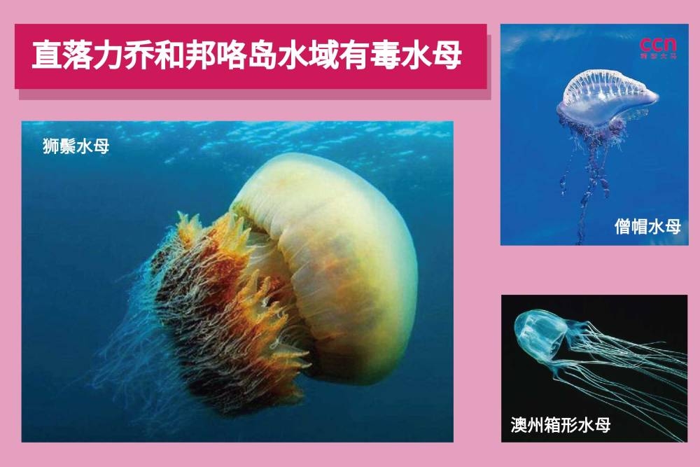-摘自网络,精彩大马制图-