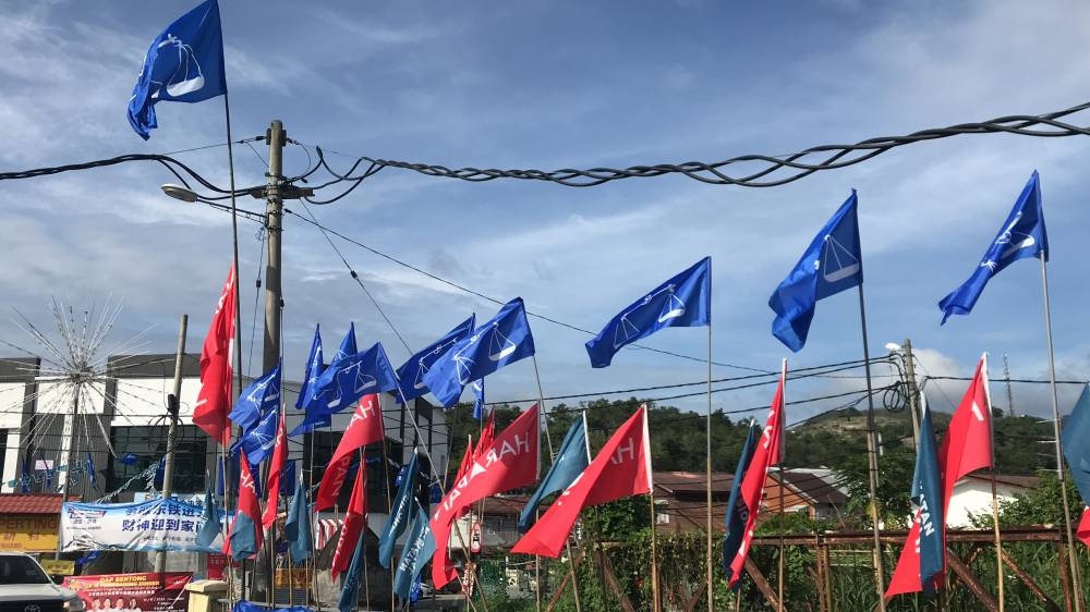 各个政党的旗帜在大街小巷飘扬！-张晓真摄-