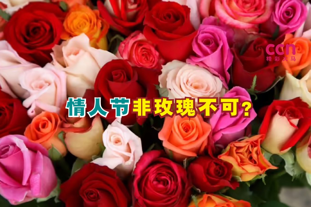 -摘自网络，精彩大马制图-