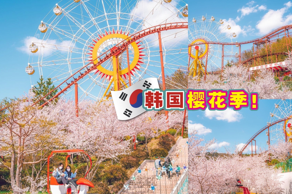 走，去韩国赏樱花！-图摘自大马韩国观光公社/精彩大马制图-
