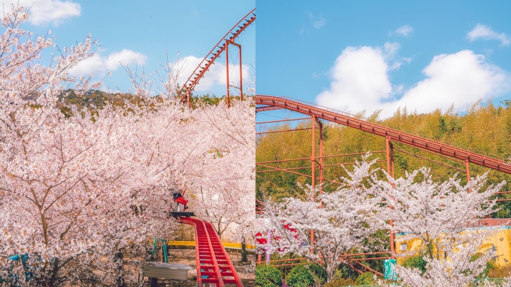 -图摘自大马韩国观光公社-