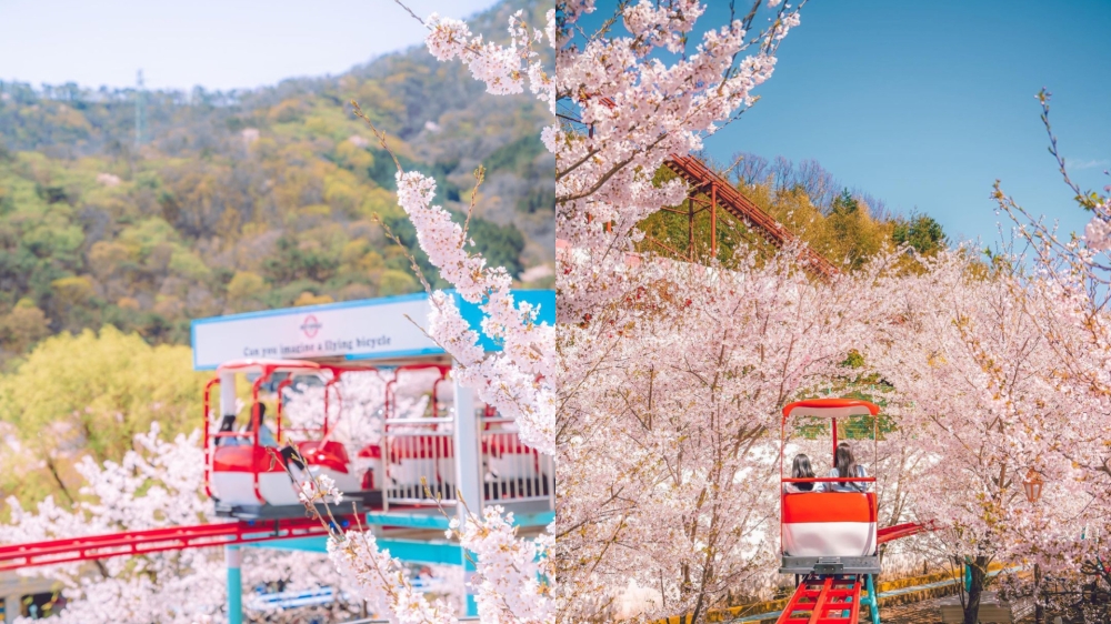 -图摘自大马韩国观光公社-