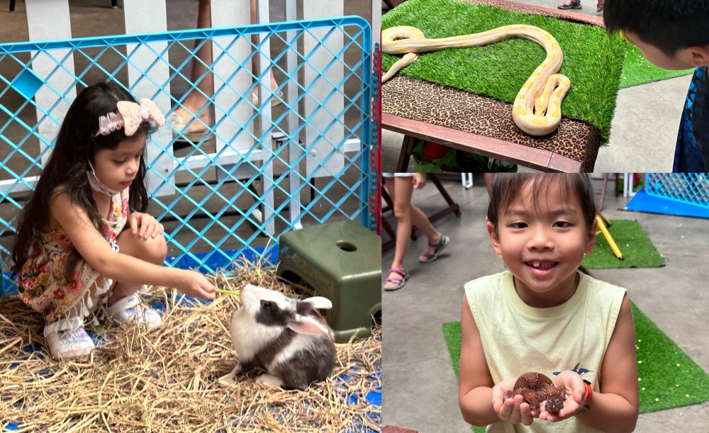 现场还有小型宠物动物园(Petting Zoo)。-方贝欣摄-