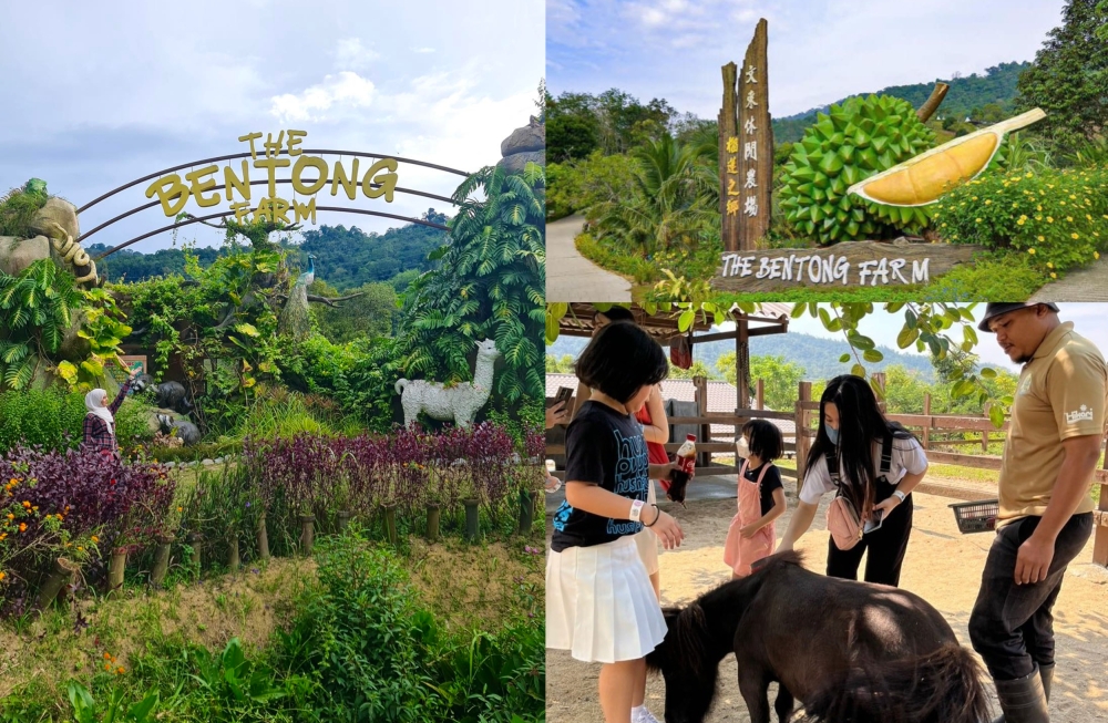 文冬休闲农场距离吉隆坡约1小时车程。-图摘自官方脸书/大马旅游局脸书/精彩大马制图-