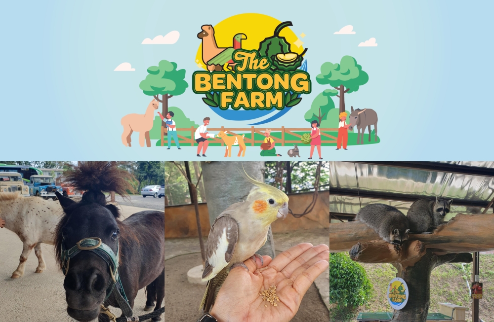 -图摘自官方脸书/精彩大马制图-