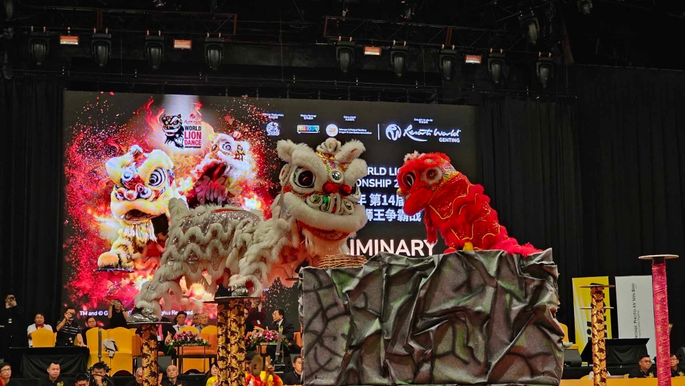 彭亨州关丹建造行武术醒狮团的舞狮与小红狮对视非常萌。-杨琇媖摄-