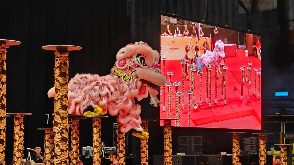 美国柔功门舞狮团负责舞粉红狮狮头的是个女生。-杨琇媖摄-