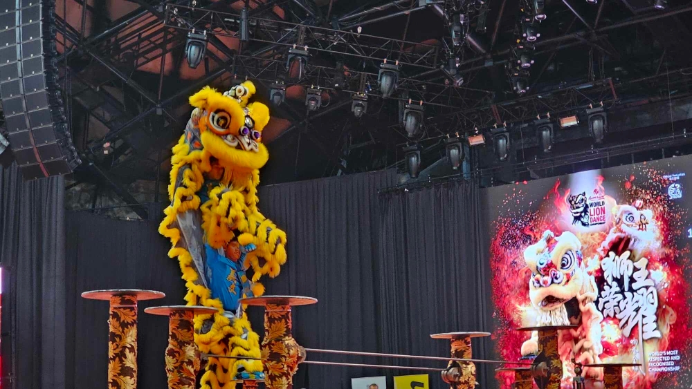 泰国武术龙狮运动总会 B 队。-杨琇媖摄-