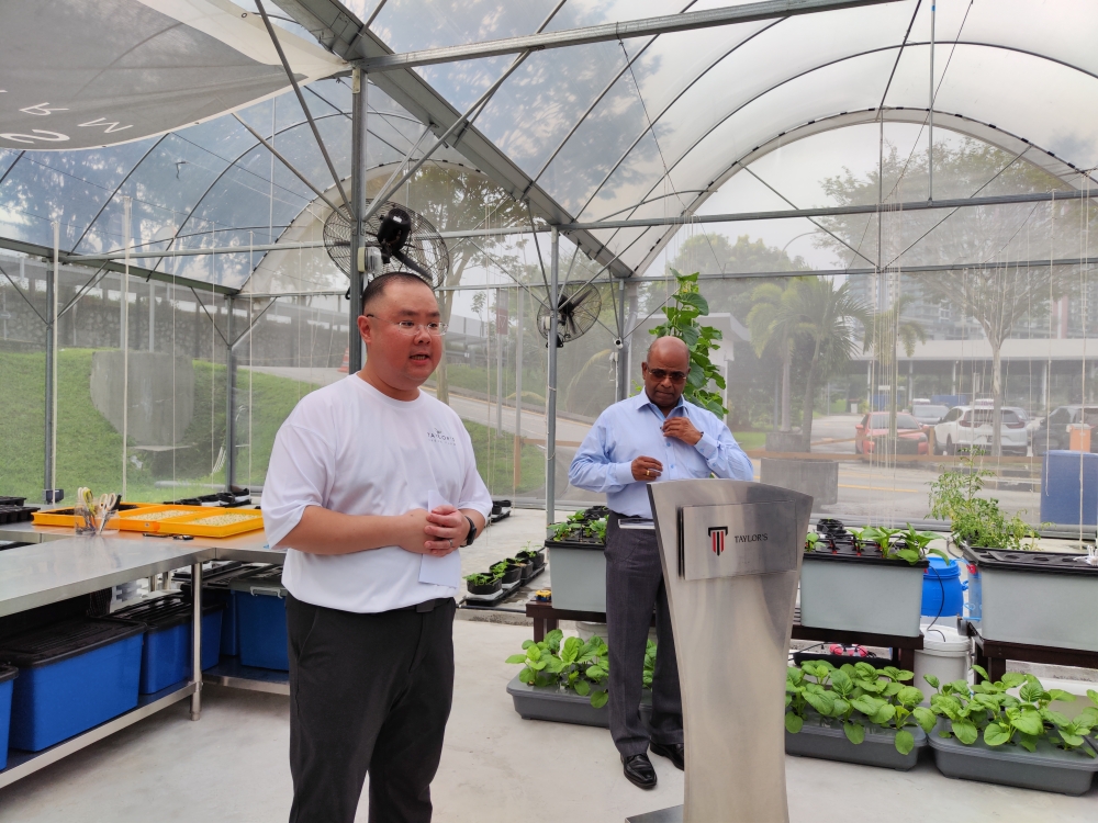 杨汶瑾表示，将“泰莱城市农场”设想为一个多学科的生活实验室，这能让大学教职人员和学生受益，提高他们的食品素养。”-刘家仪摄-