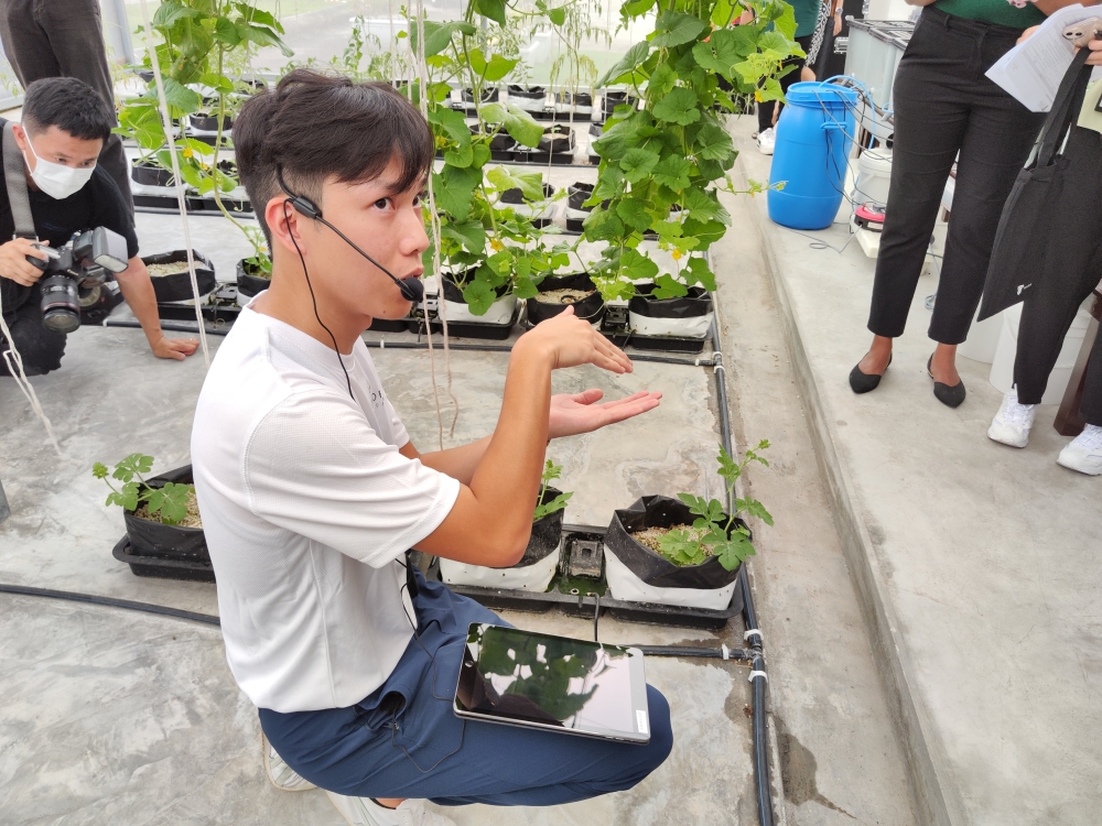泰莱城市农场负责人刘宸浩说明他们是如何用自主潮汐式的种植系统来耕种蔬菜。-刘家仪摄-