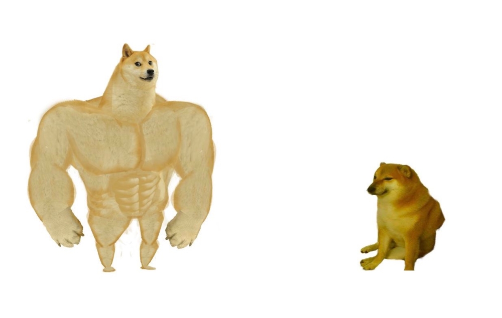 最广为人知就是““肌肉柴(左:Buff Doge)和小废柴(右:Cheem)-图摘自网络-