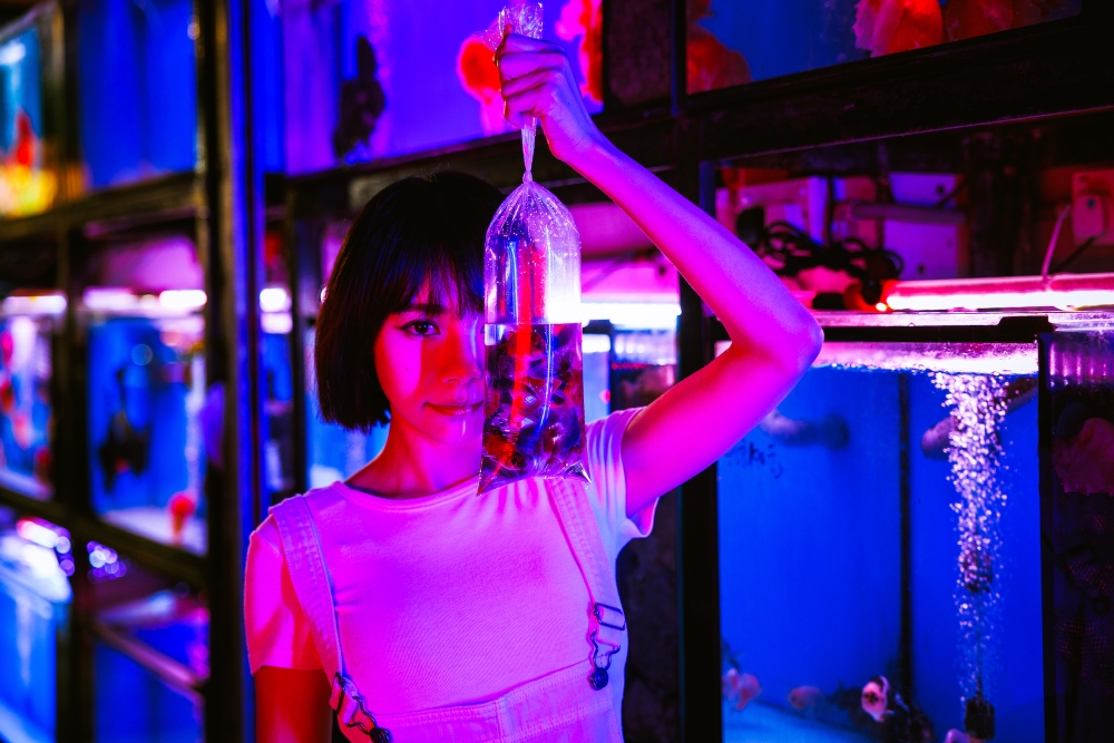 -香港旅游发展局提供-