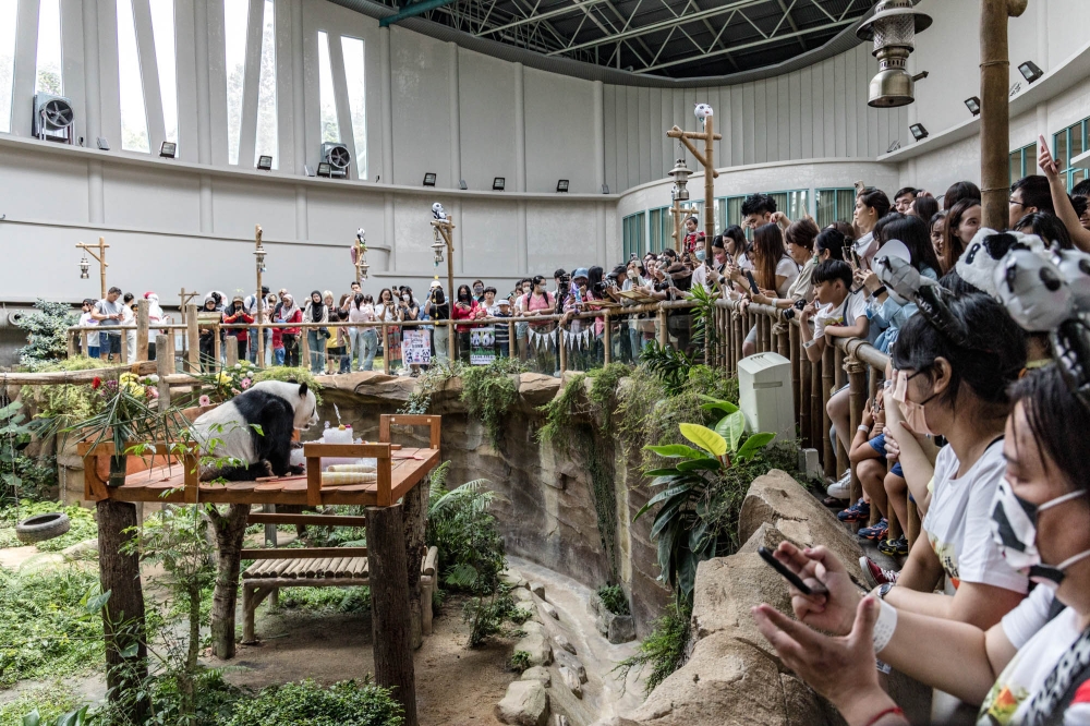 “兴兴”和“靓靓”生日会吸引大批民众到访！-Firdaus Latif摄-