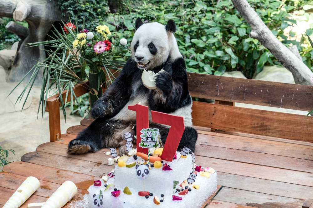 “我今年17岁啦！”-Firdaus Latif摄-