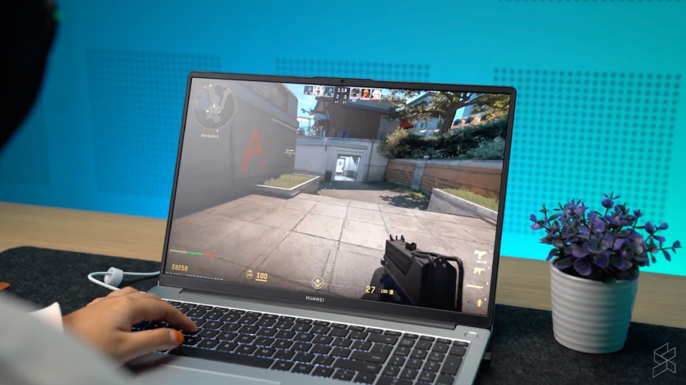 -图摘自Soya Cincau-