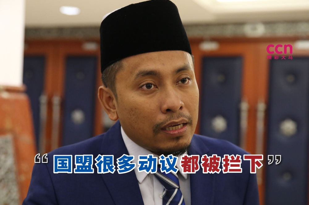 阿末法德里说，国盟已经面对过动议被议长拦下的经验。