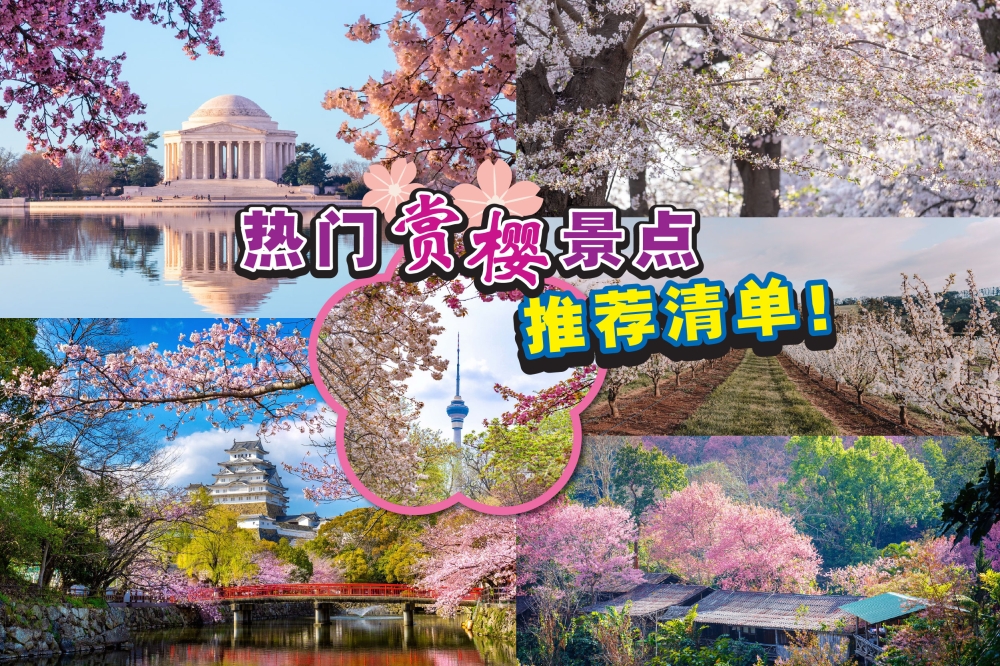 世界各地的樱花盛放季节是许多游客相当期待的时刻。-亚航提供-