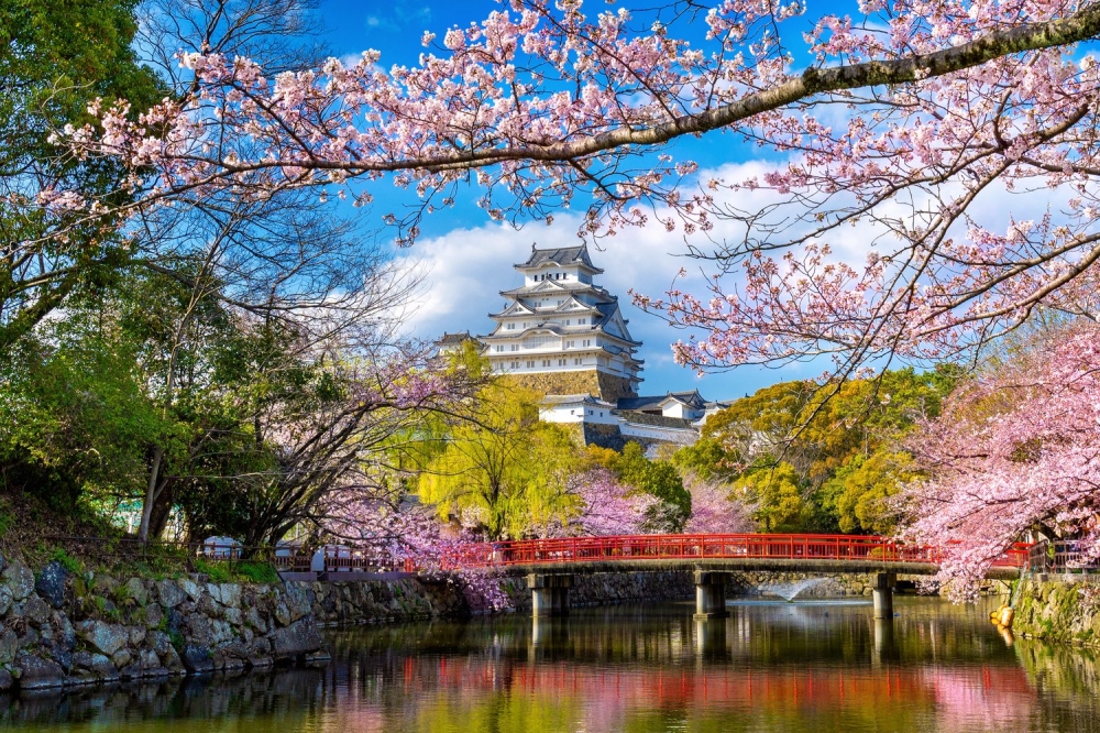 日本被誉为全球赏樱的圣地之一，每年的樱花季节都会弥漫着粉红色的浪漫气息，吸引大量游客前往。-亚航提供-