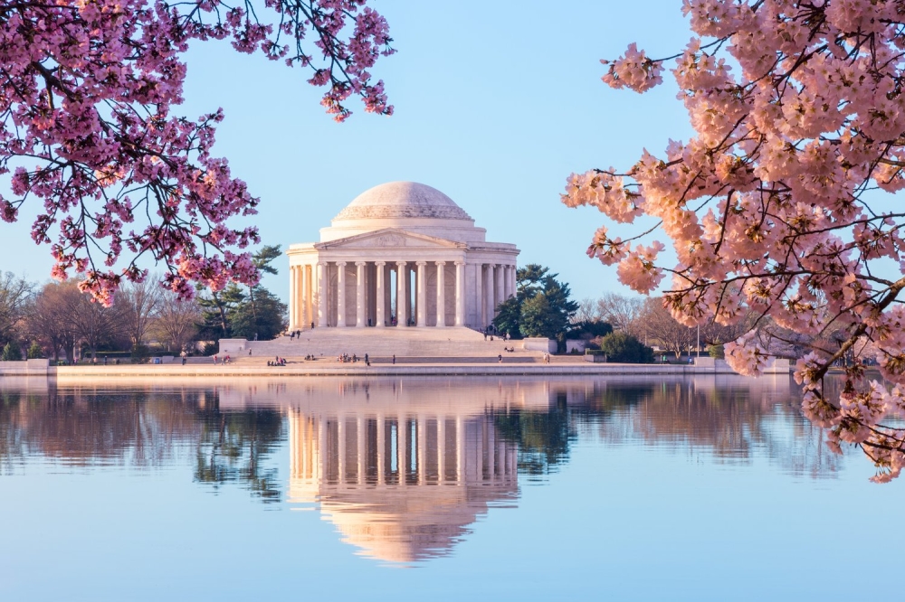 美国的樱花盛放季节已有百年历史，华盛顿特区绝对是其最著名的樱花城市。-亚航提供-