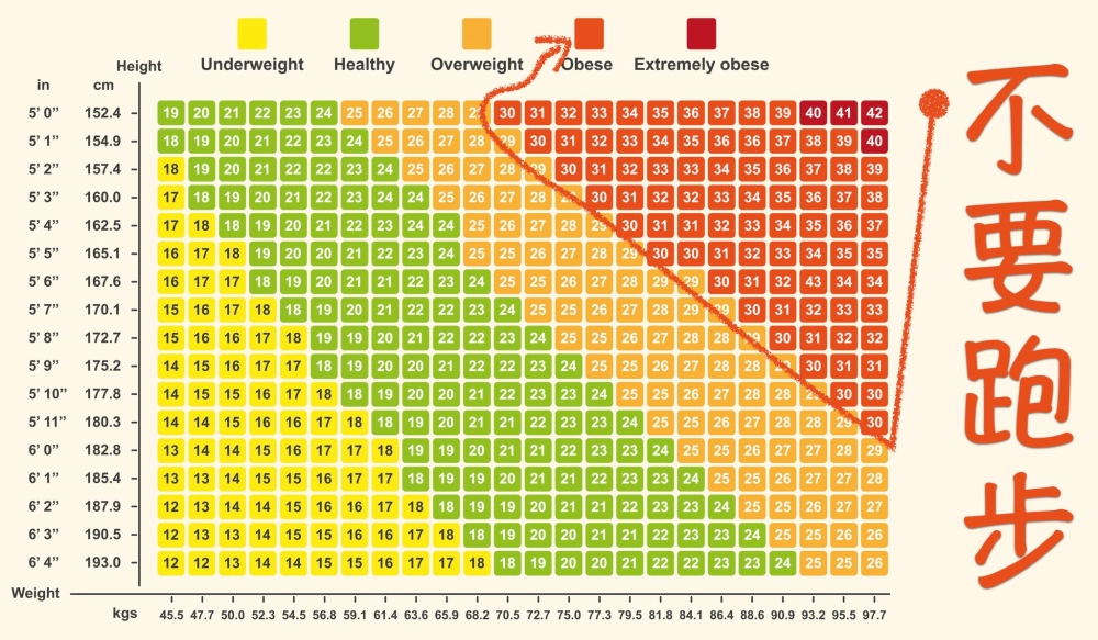 身体质量指数(Body Mass Index/BMI)图表。-图摘自《不病之道》(Unsickable)-