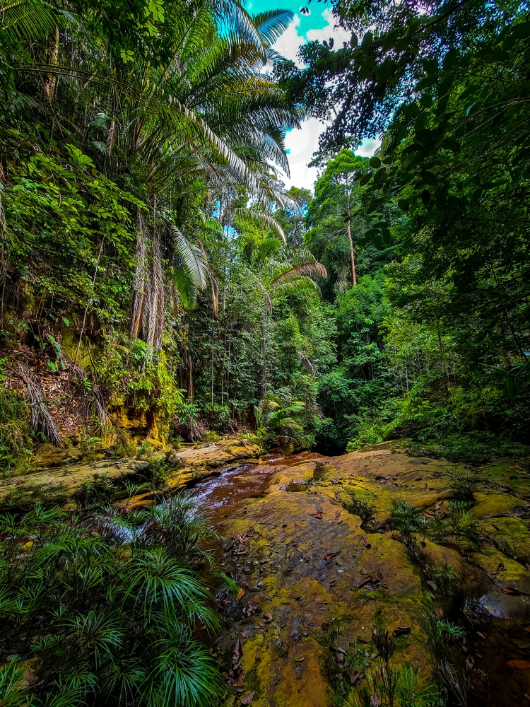 -Photo by Ryan ‘O’ Niel via Unsplash-