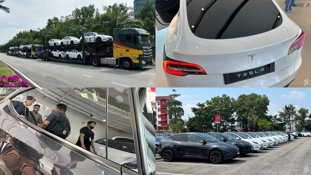 -图摘自Soya Cincau-