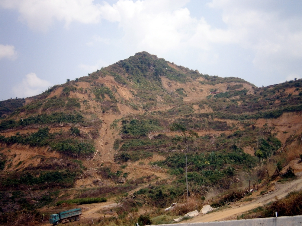 RimbaWatch指出，若320万公顷的森林被砍伐，我国的森林覆盖率面积将降至陆地面积的50%以下。-图取自Sahabat Alam Malaysia-