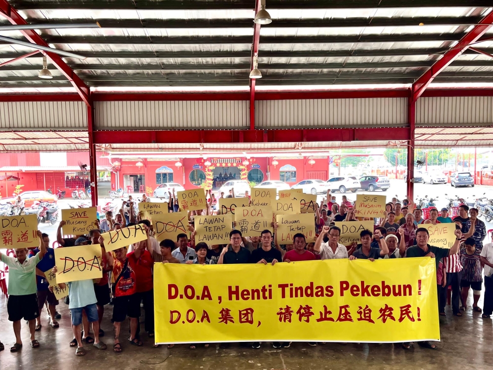 拯救猫山王联盟指控DOA集团压榨榴莲农民，也拒绝与农民谈判。