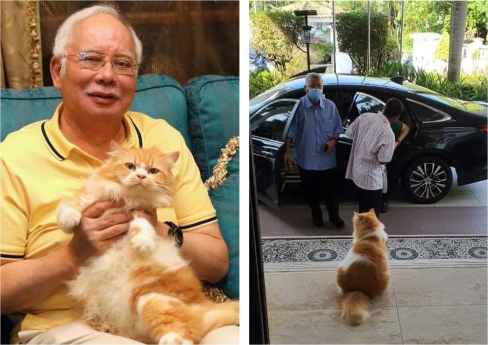 纳吉在脸书公布爱猫Kiky离世，引来网民哀悼。