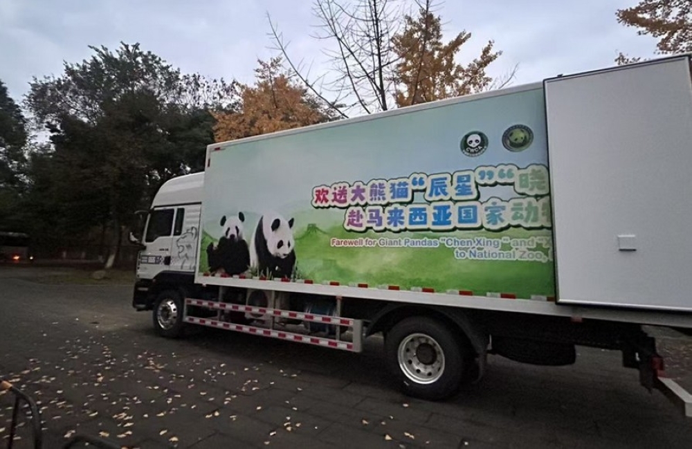 载送“晨星”与“晓月”的运输车印有“欢送大熊猫‘辰星’‘晓月’赴马来西亚国家动物园”的字眼。