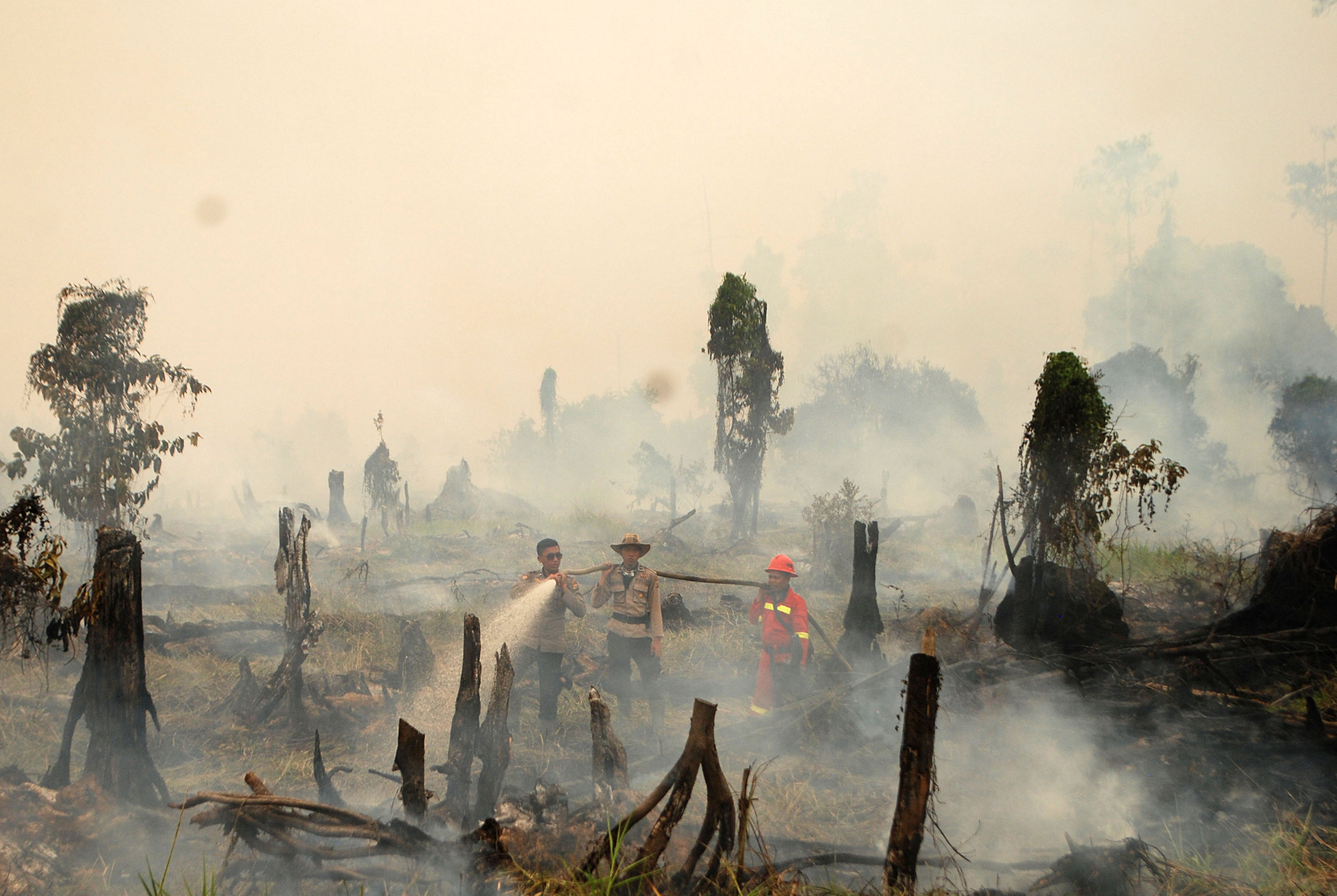 Police and a fire fighter from a local forestry company try to extinguish a forest fire in the village in Rokan Hulu regency, Riau province, Sumatra, Indonesia August 28, 2016 in this photo taken by Antara Foto. Picture taken August 28, 2016. Antara Foto/