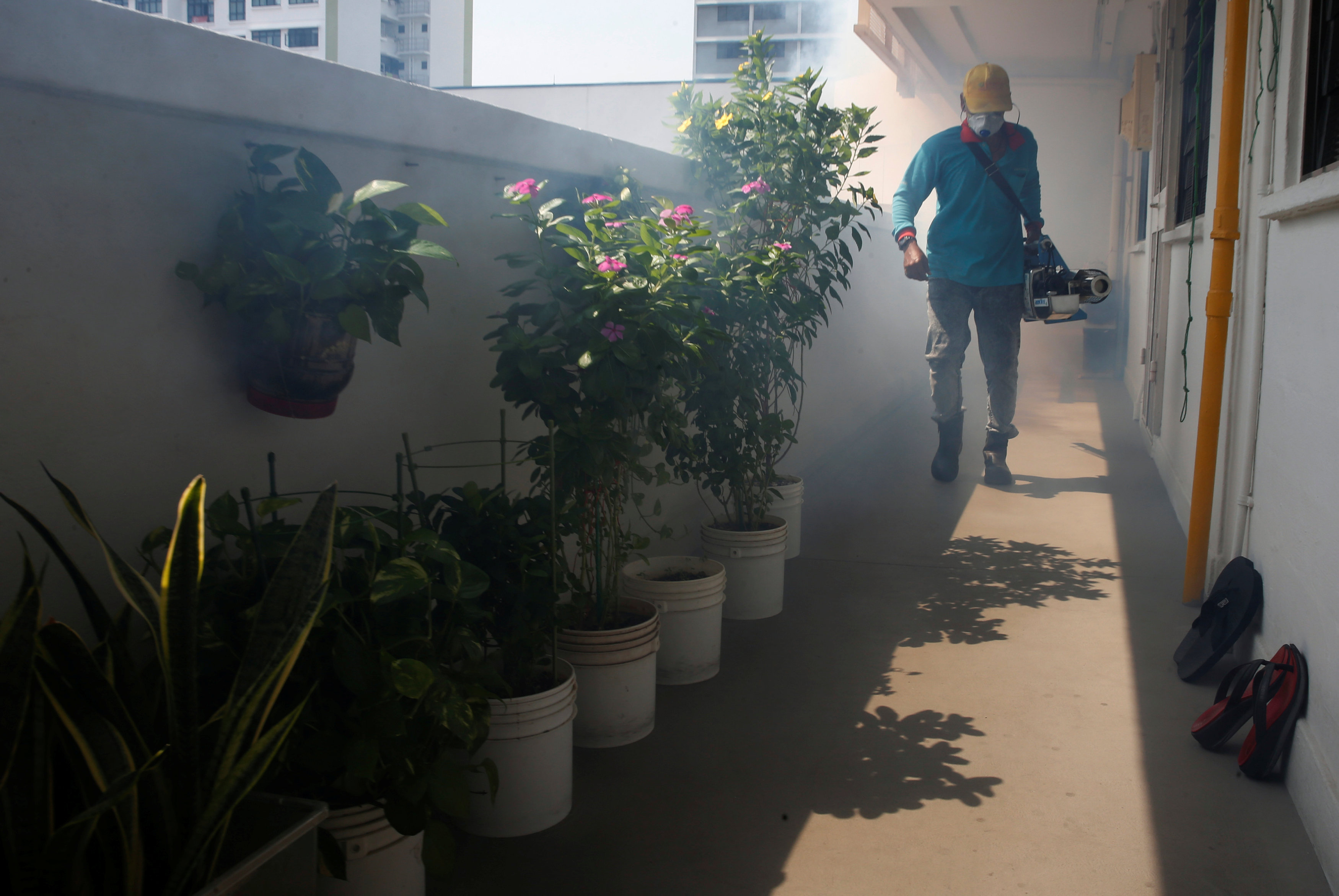 A worker fogs the corridor of a public housing estate in the vicinity where a locally transmitted Zika virus case was discovered, in Singapore August 29, 2016. REUTERS/Edgar Sun