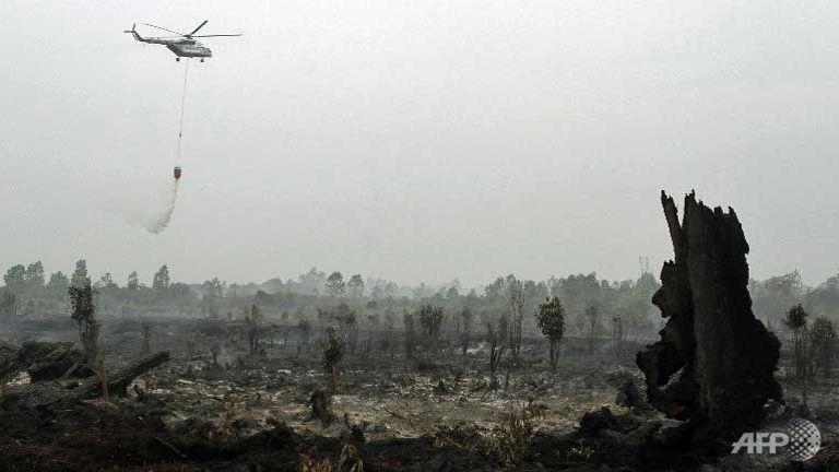 A helicopter operated by Indonesia's National Disaster Mitigation Agency (BNPB) sprays water on a fire in Kampar, Riau province. BNPB reported findings of 138 hot spots around the country on Aug 29, 85 of them were found in Riau. (ANAS/AFP)