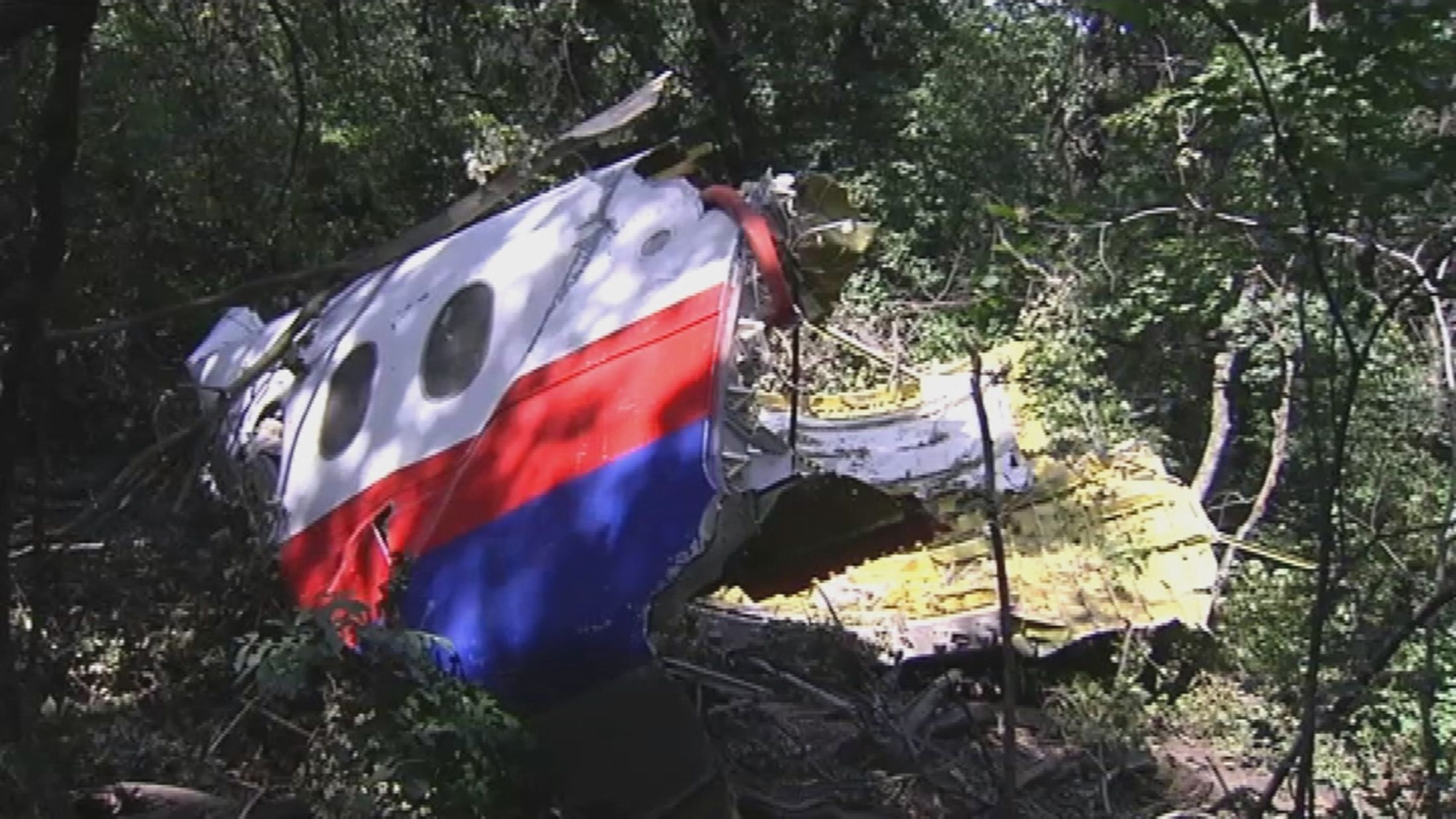 Debris from the Malaysia Airlines flight MH17 crash are pictured on the ground near the village of Grabovo in the Donetsk region in this video screen grab from the German ZDF channel, made available to Reuters on July 25, 2014. u00e2u20acu201d Reuters pic