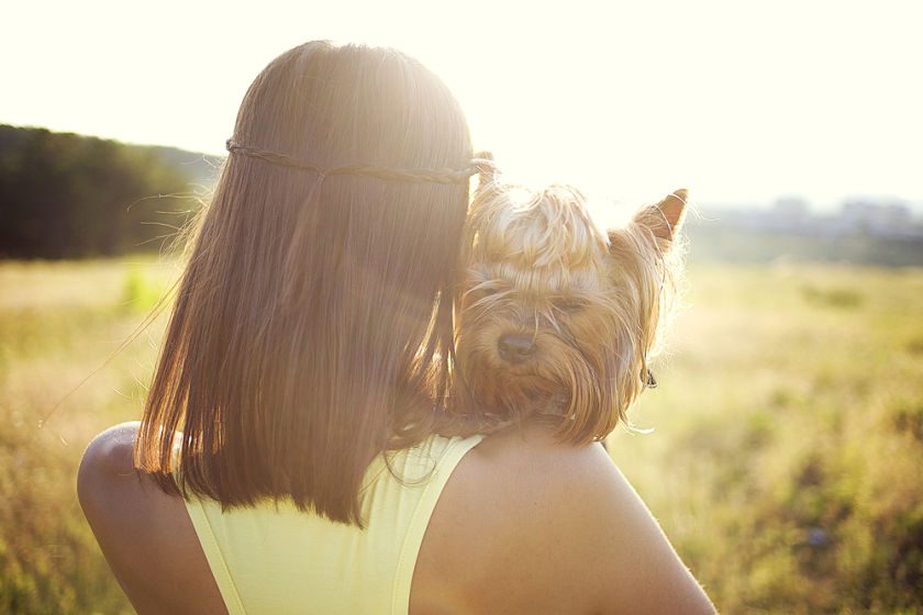 Do dogs get jealous when their owners direct their attention elsewhere? u00e2u20acu201d u00c2u00a9leoanna /shutterstock.comn